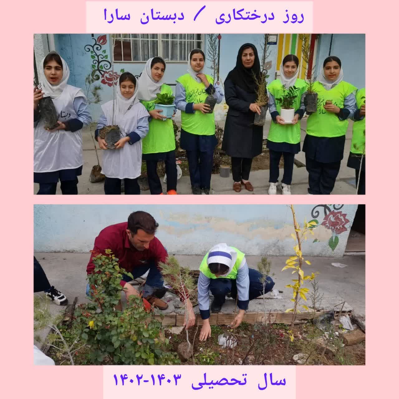 روز درختکاری