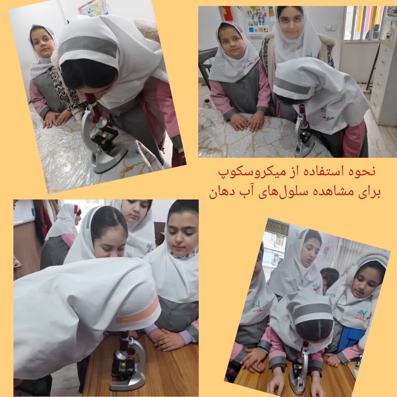 نحوه استفاده از میکروسکوپ